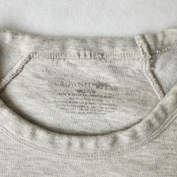 Crowned Free Gray Sweatshirt Raising Future World Changers Graphic Cute Medium - Picture 11 of 17